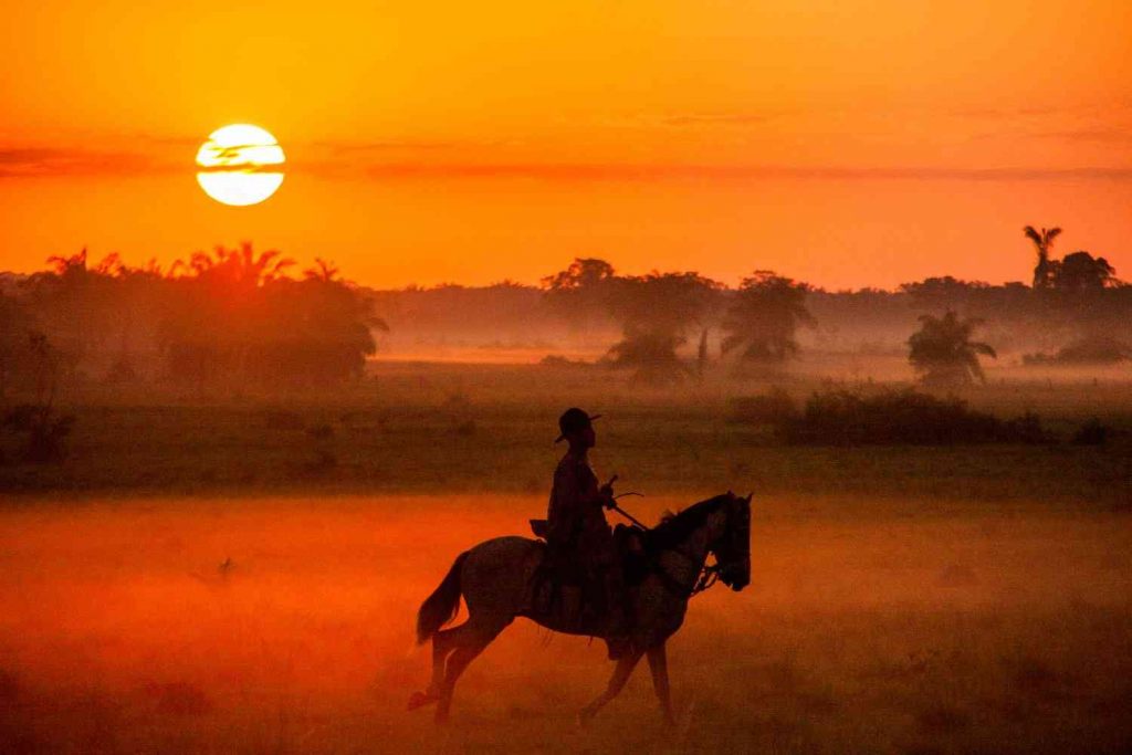 Llanos Orientales